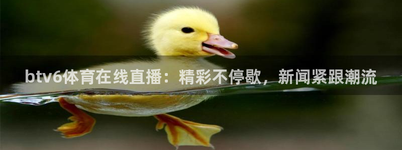 nba无插件直播看球吧：btv6体育在线直播：精彩不停歇，新闻紧跟潮流