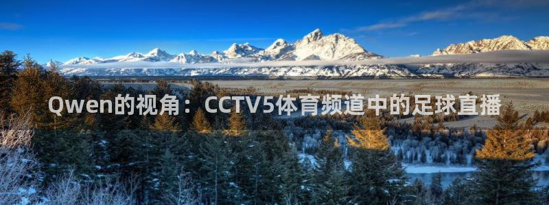 88直播看球吧：Qwen的视角：CCTV5体育频道中的足球直播