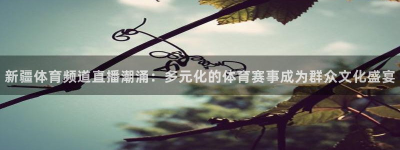 看球吧直播视频在线直播：新疆体育频道直播潮涌：多元化的体育赛事成为群众文化盛宴