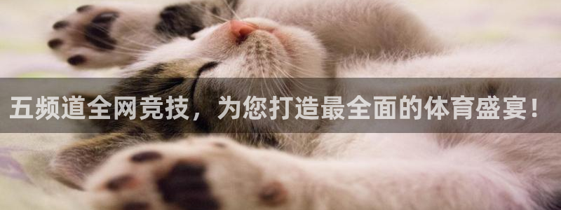 看球吧下载：五频道全网竞技，为您打造最全面的体育盛宴！
